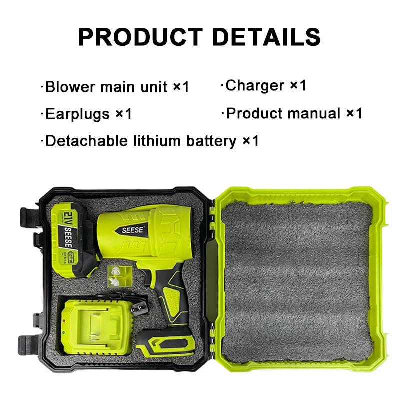 SEESE Turbojet Hair Dryer